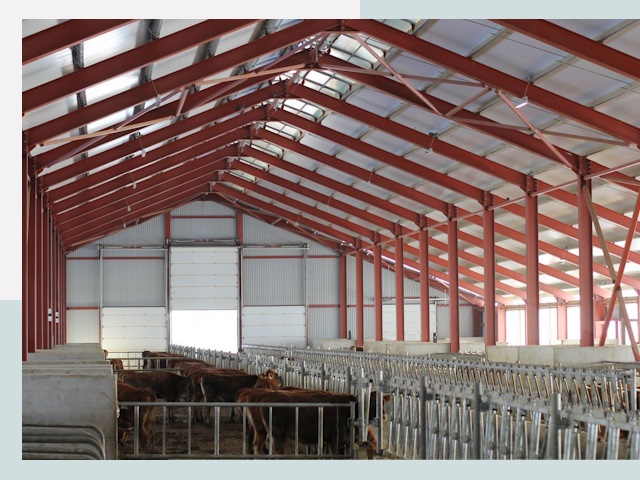 Строительство коровников в Кушве