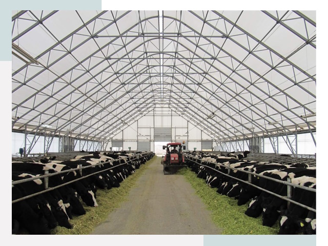 Тентовые коровники в Кушве от 616 руб. - Надежно и доступно